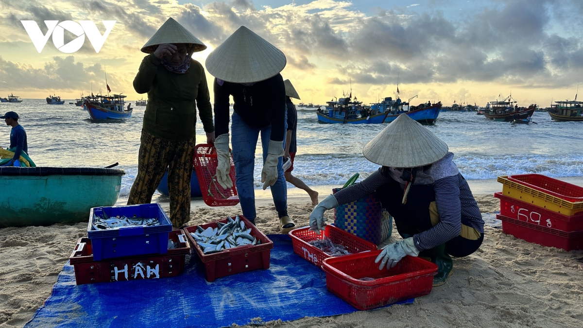 nhon nhip canh mua ban hai san o bai bien nhan hai luc to mo sang hinh anh 7