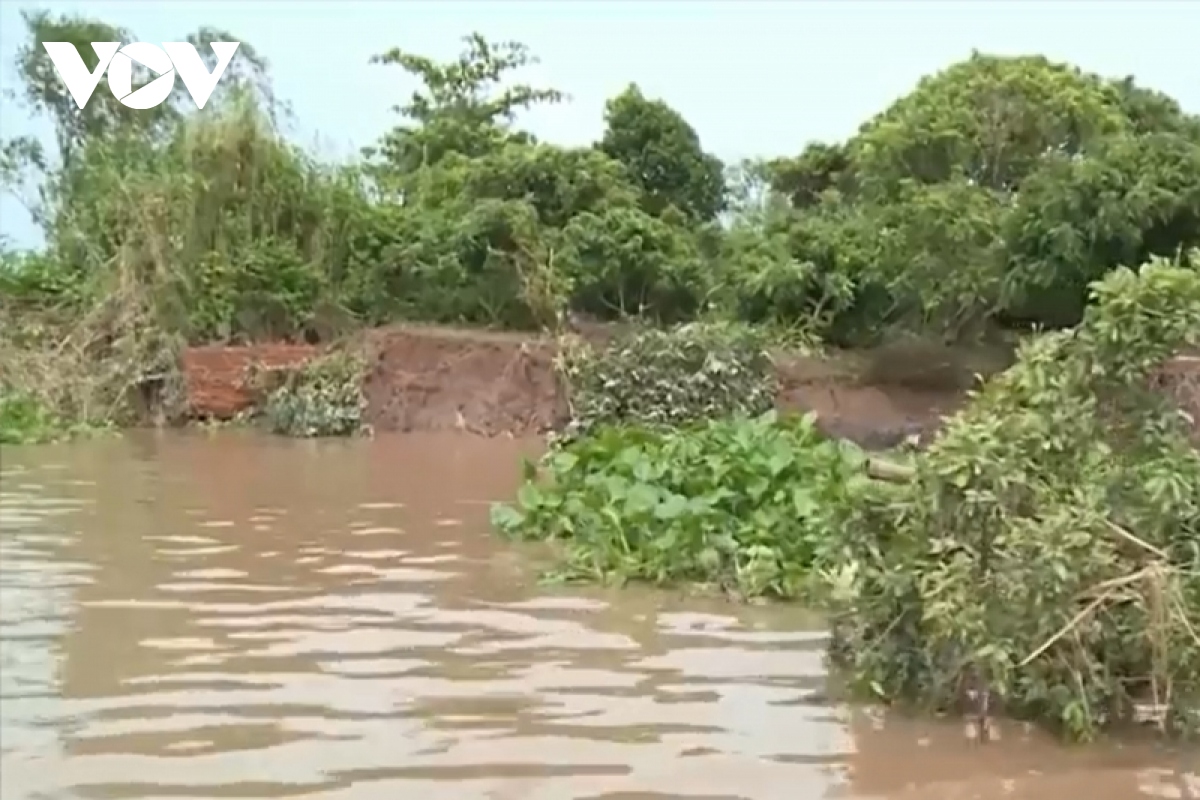 vinh long sat lo xuat hien o nhieu noi ngay nhung ngay dau mua mua hinh anh 1