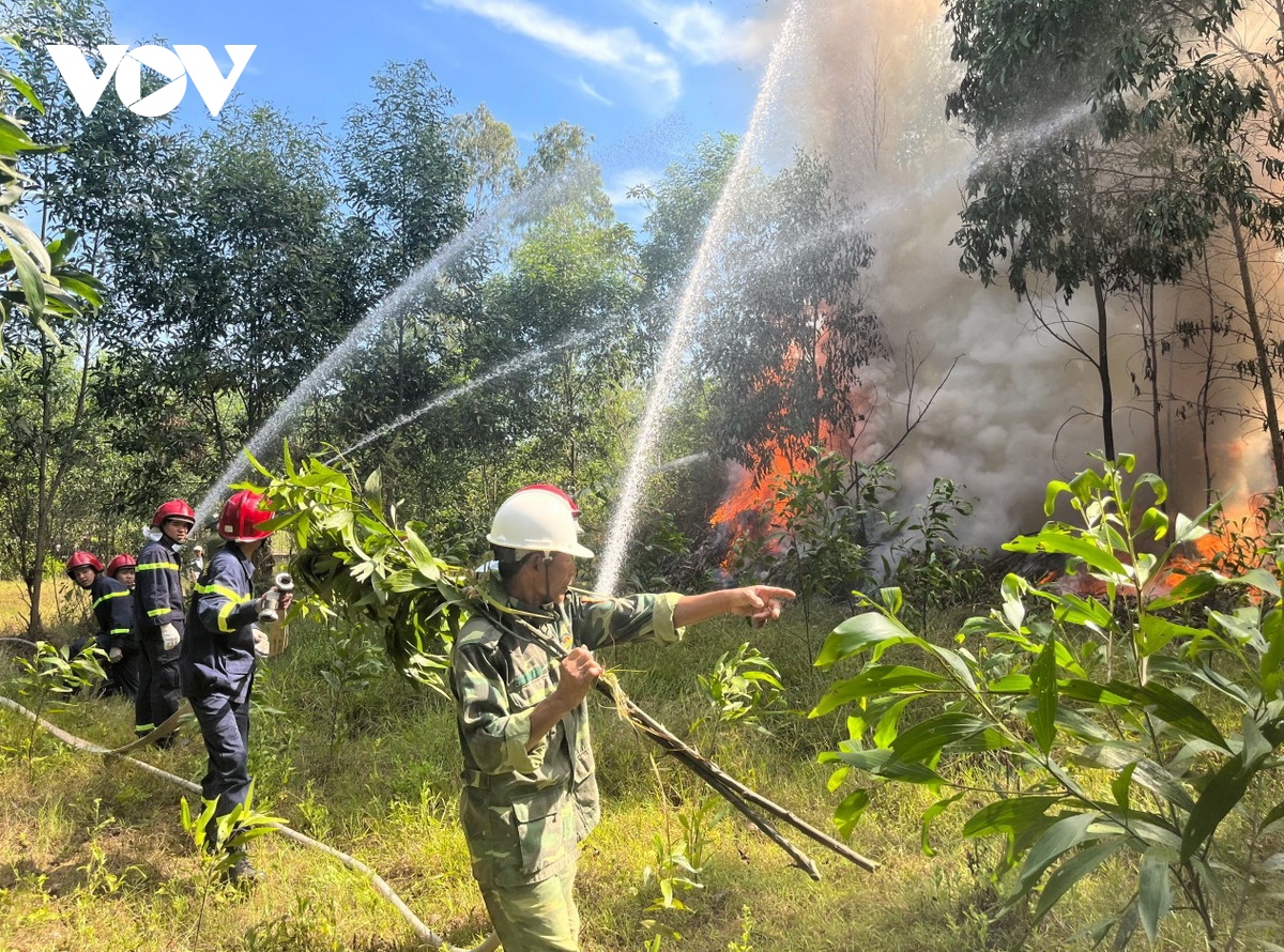 Quảng Ngãi sẵn sàng phương án phòng chống cháy rừng