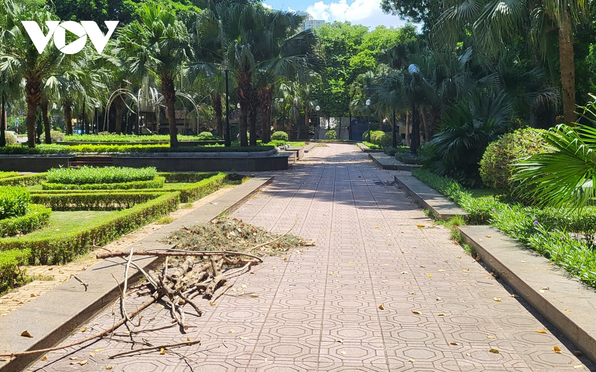 2 vuon hoa lon o ha Dong ha noi xuong cap nghiem trong hinh anh 1