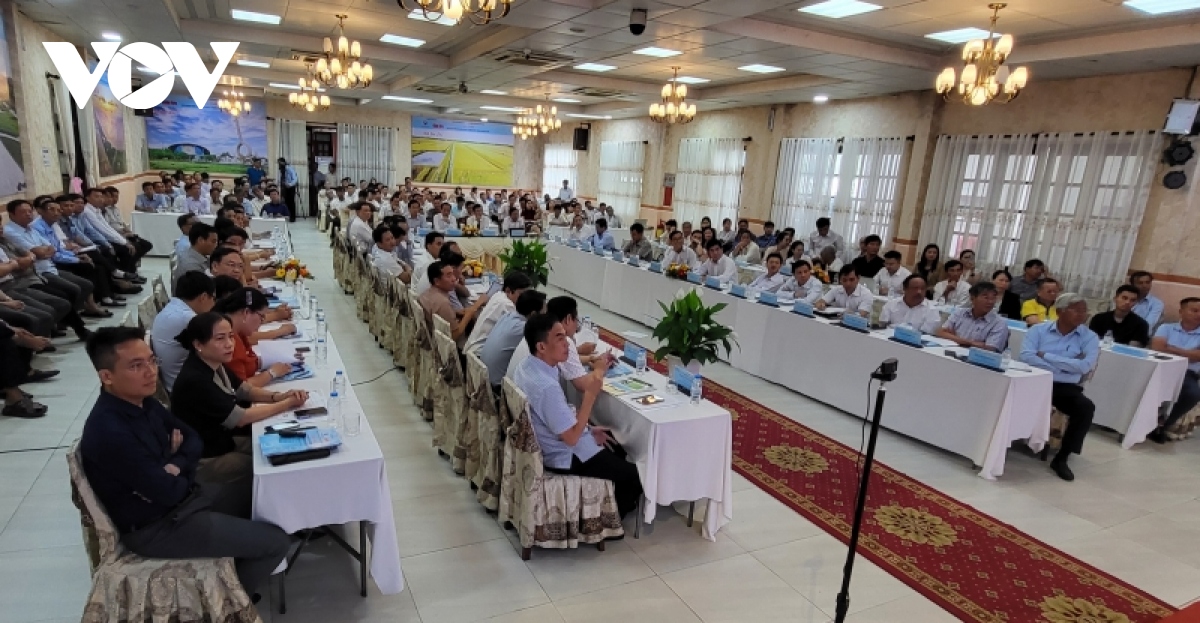 giai phap moi truong phat trien ben vung nganh tom tai Dbscl hinh anh 1