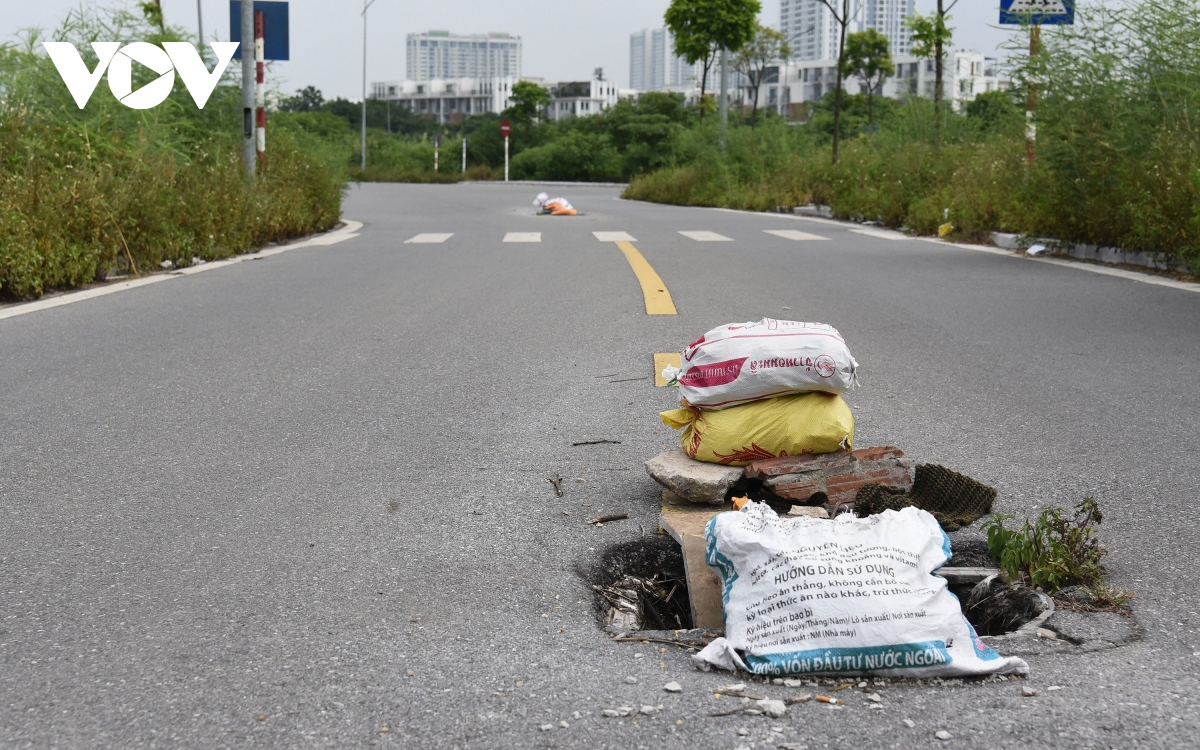 cong vien gan 100 ha o ha noi bien thanh bai trong rau, tap ket rac thai hinh anh 7