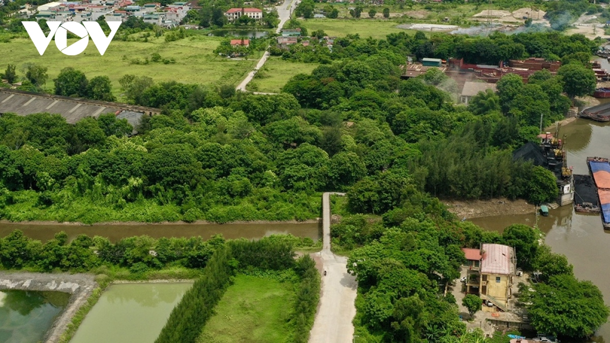 du an nghin ty tu bai Dinh di kim son ninh binh doi von, cham tien do tram trong hinh anh 2