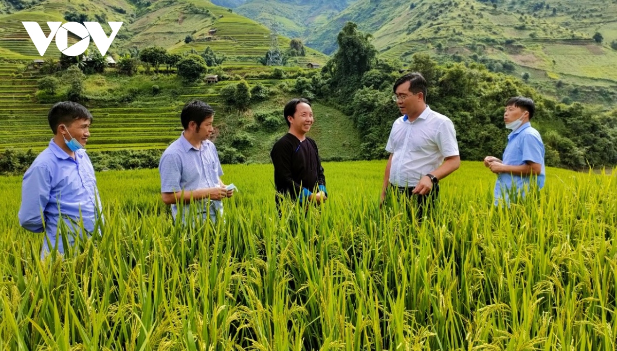 cau chuyen nang chi so hanh phuc nguoi dan huyen ngheo o yen bai hinh anh 3