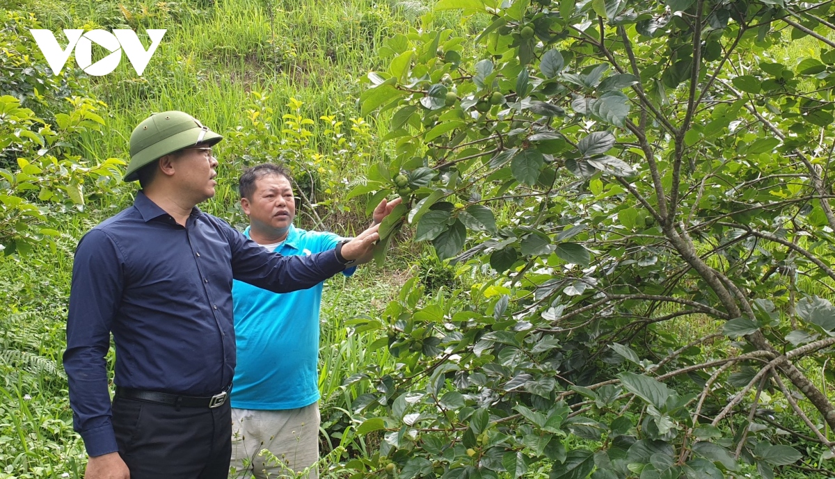 cau chuyen nang chi so hanh phuc nguoi dan huyen ngheo o yen bai hinh anh 5