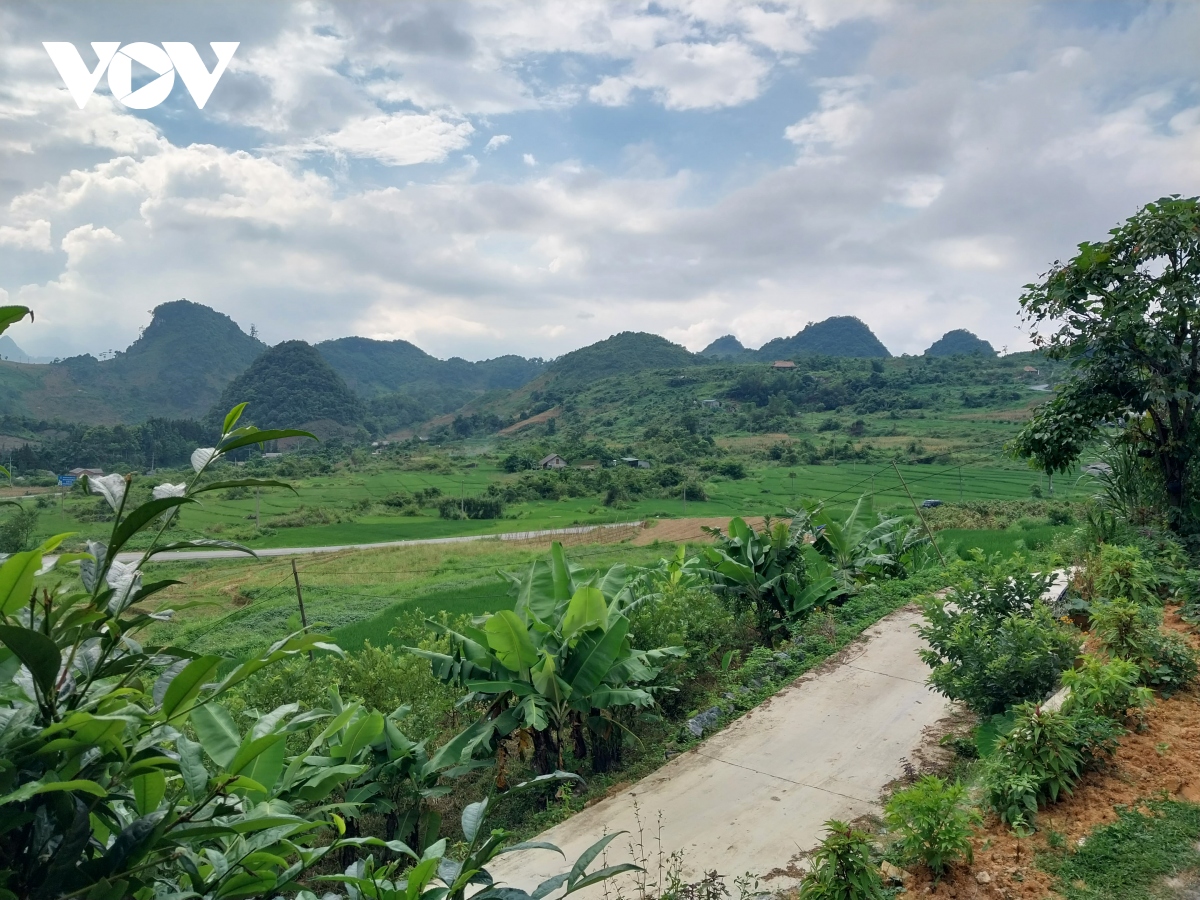 tra lai mau xanh cho cao nguyen da ha giang hinh anh 3