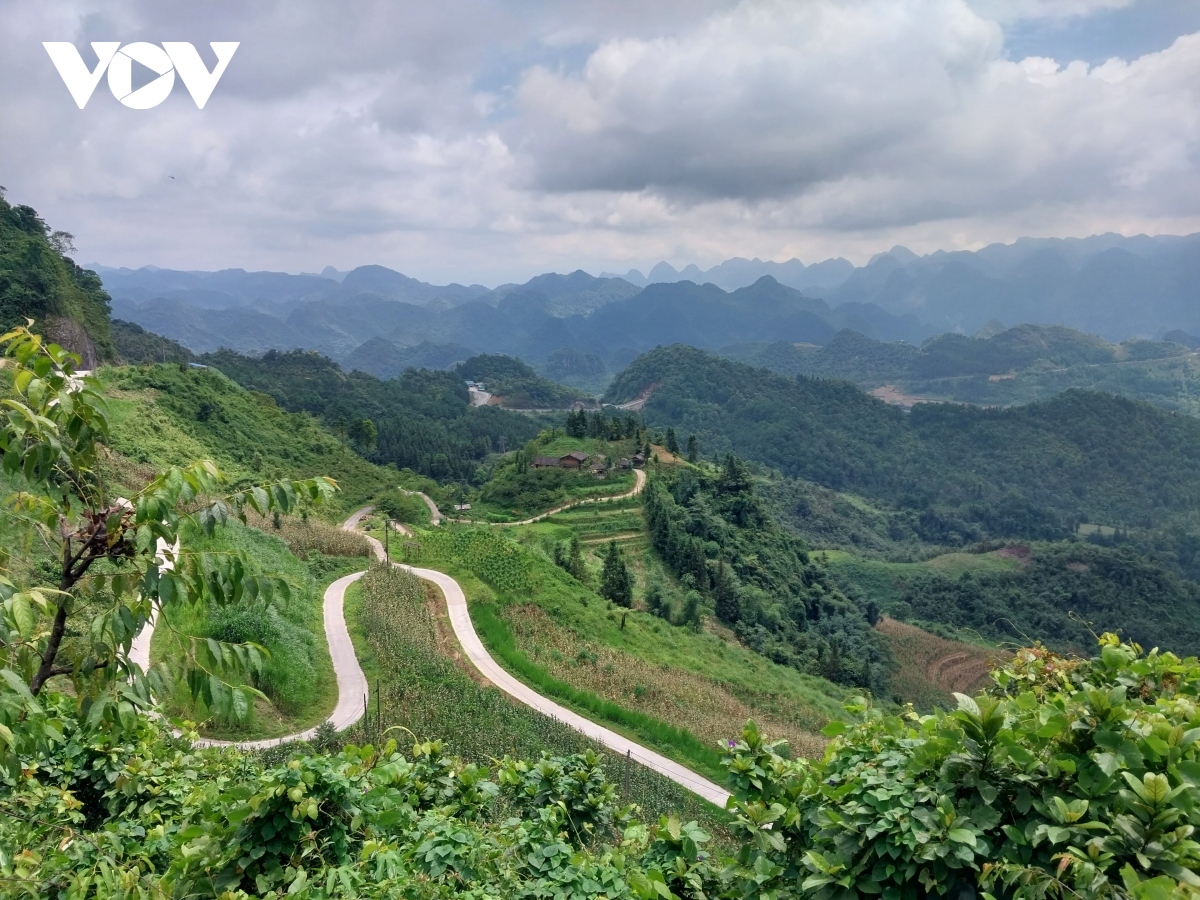 Trả lại màu xanh cho cao nguyên đá Hà Giang