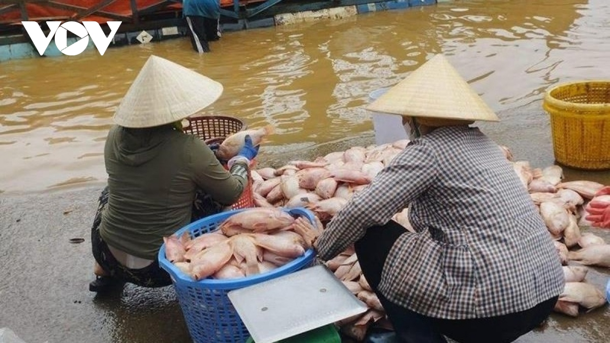 cac dia phuong dam bao an toan tinh mang nguoi dan truoc lu lut hinh anh 5