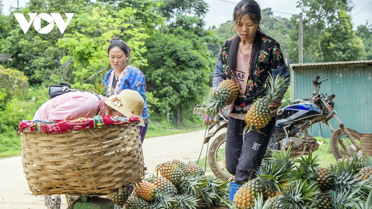 dua mat o pu lau vao chinh vu hinh anh 7