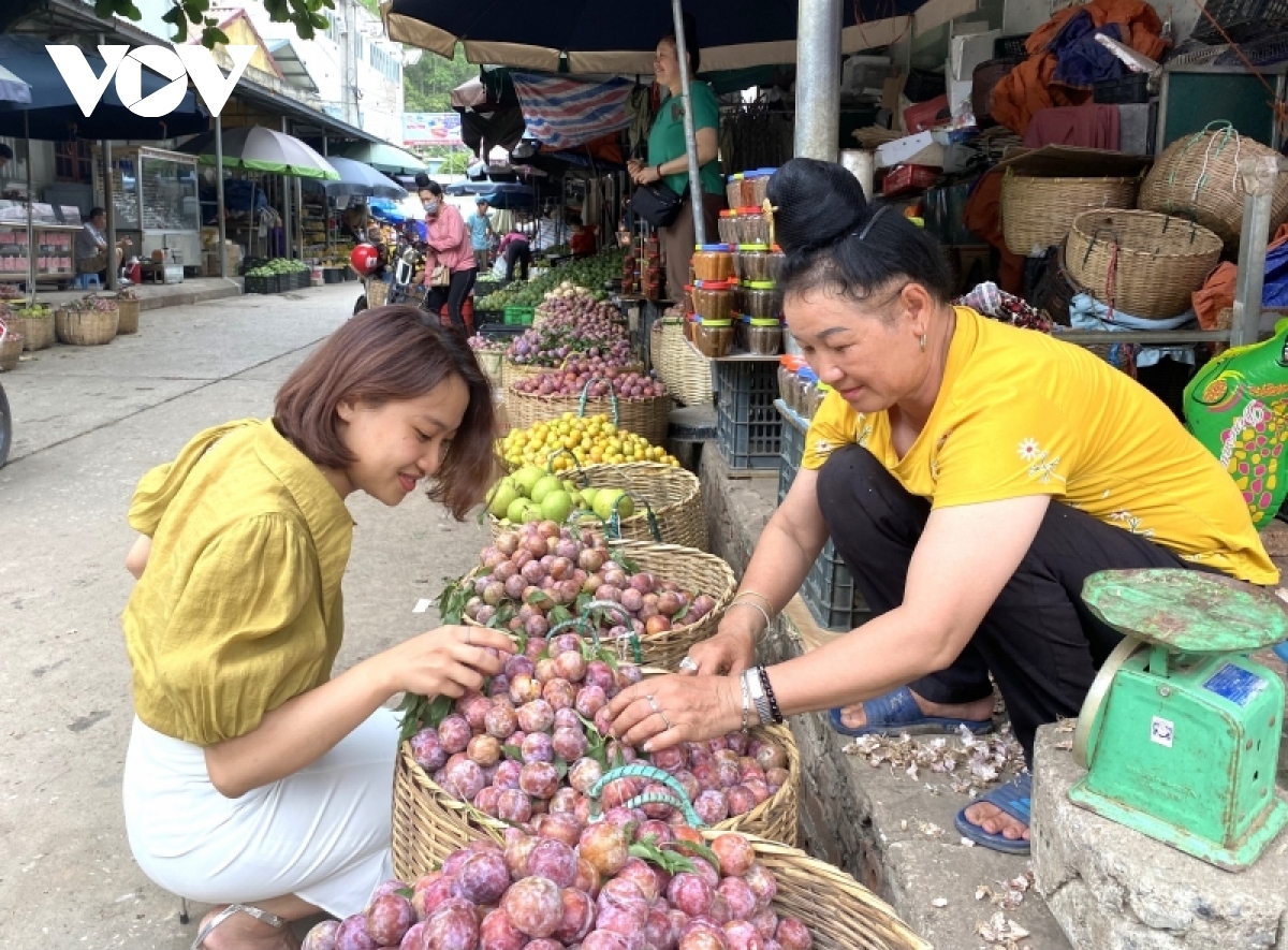 son la trien khai giai phap cap bach trong tieu thu xoai do gia xuong thap hinh anh 1