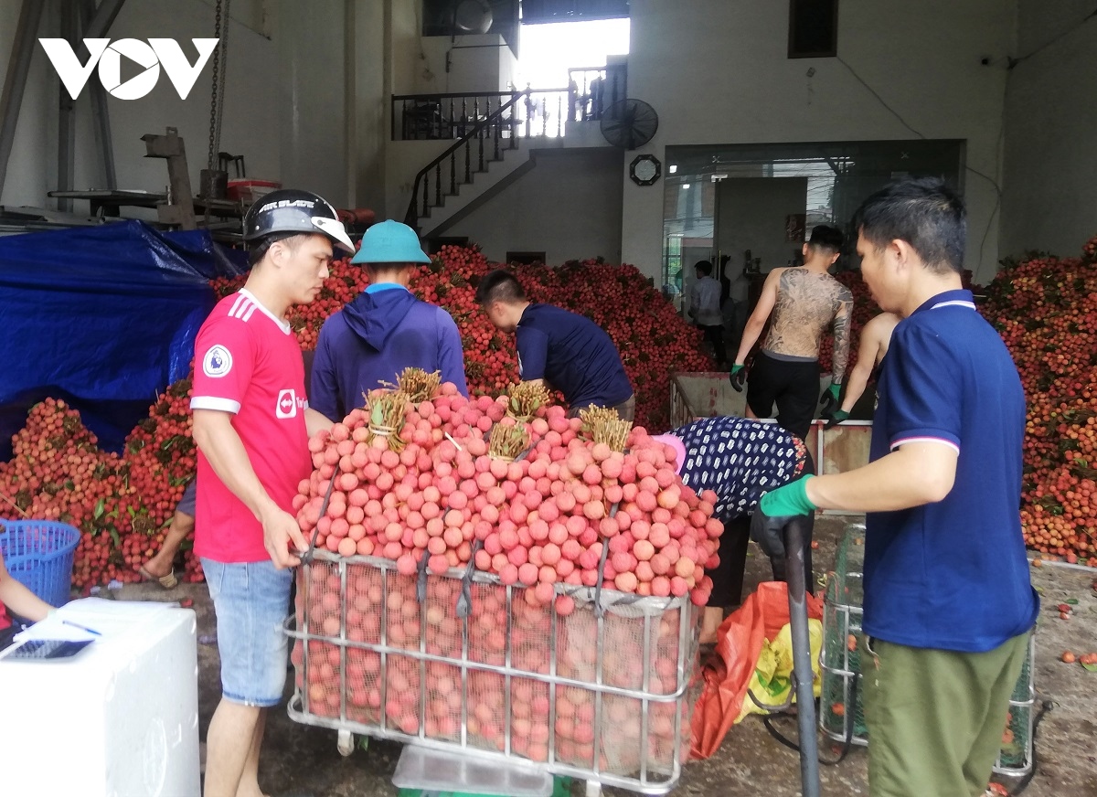 bac giang tieu thu vai thieu gan voi quang ba thuong hieu hinh anh 3