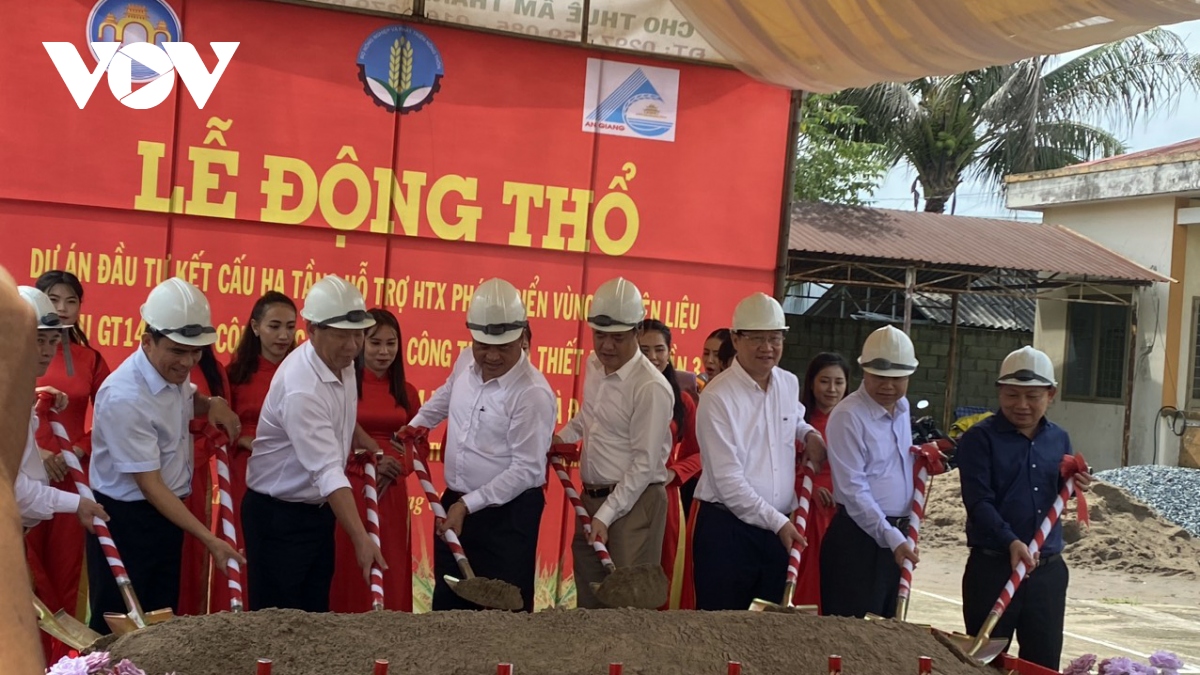 tap trung phat trien nguyen lieu gao vung tu giac long xuyen hinh anh 1