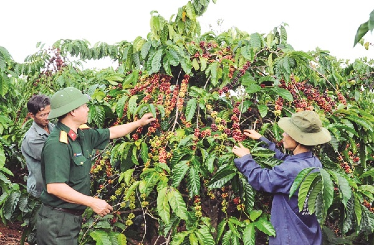 Xây dựng ngành kinh tế quân đội ngày càng phát triển