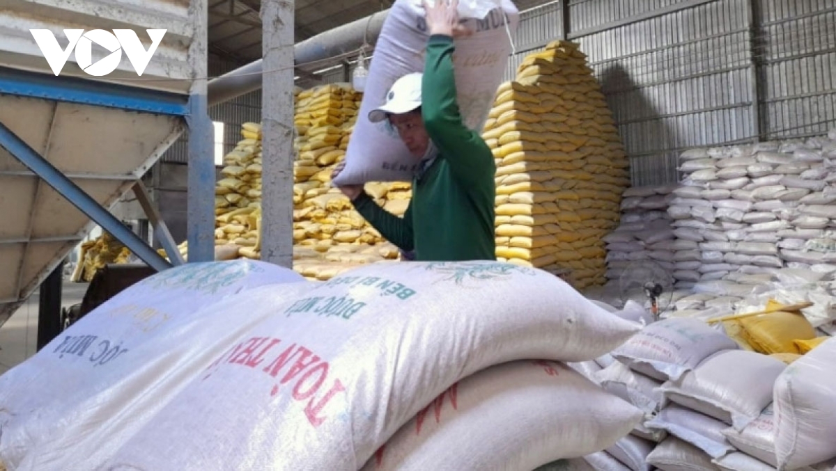 Vietnam to balance rice export to ensure food security amid global rice shortage