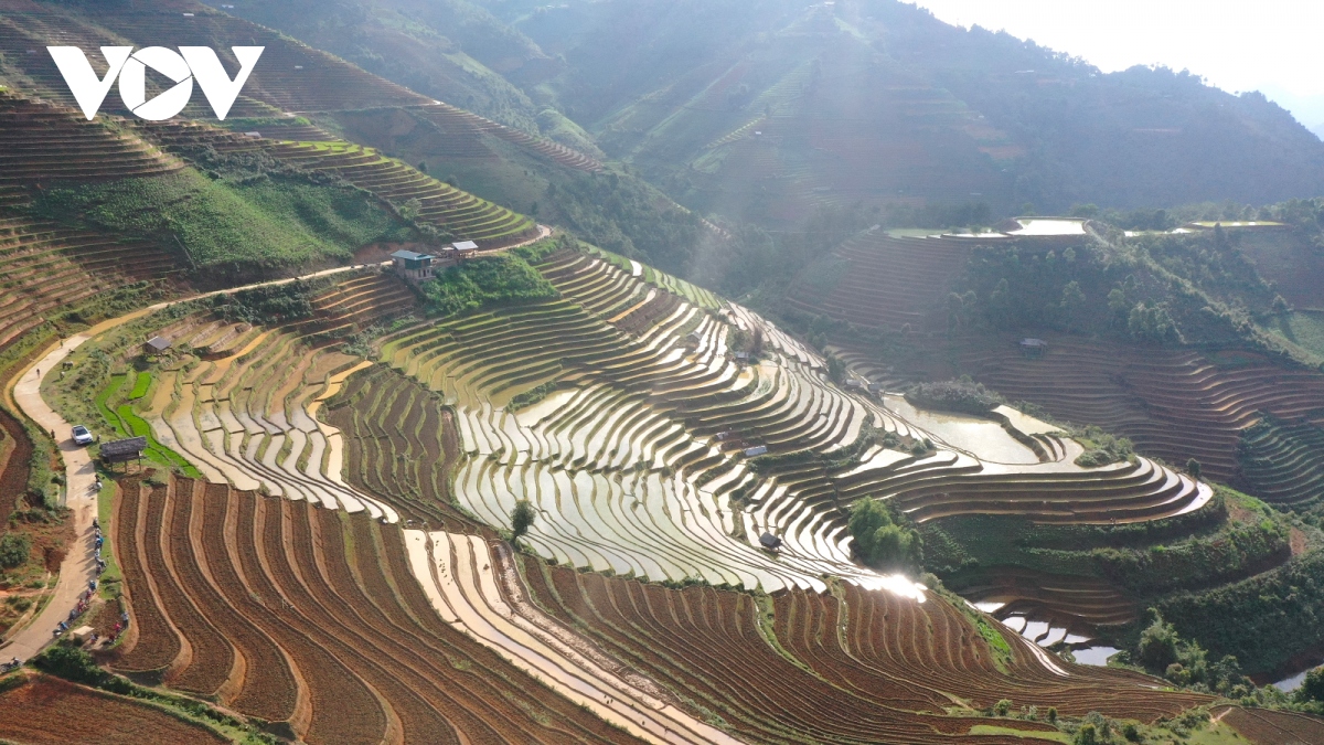 ruong bac thang mu cang chai mua nuoc do muon hinh anh 1