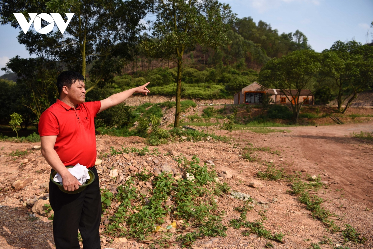 sự thật đằng sau việc thôn tính 85,7ha đất rừng làm sân golf yên dũng hình ảnh 2 su that dang sau viec thon tinh 85,7ha dat rung lam san golf yen dung hinh anh 2