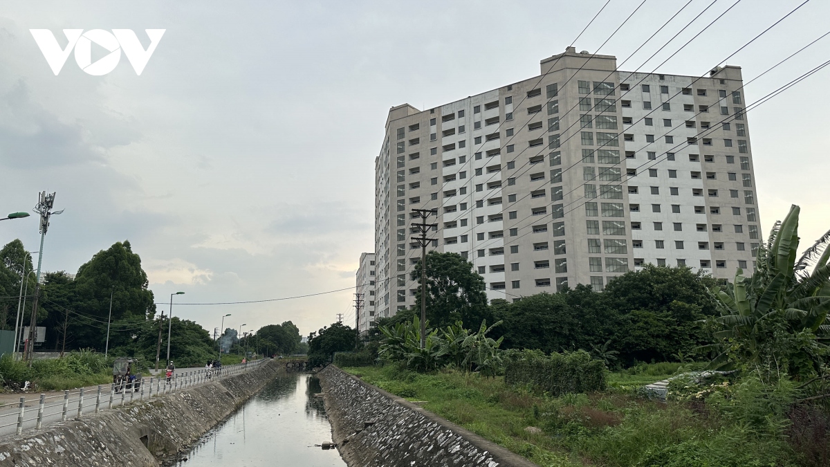 can canh nha tai dinh cu o ha noi khong nguoi o,àtáiđịnhcưTrầnPhúxâyxongkhôngngườiởbỏhoangcỏmọ<strong></strong> co moc um tum hinh anh 1