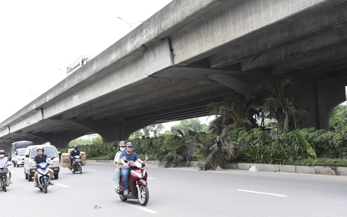 hang loat cay xanh ha noi kho phat trien vi dung tran duong tren cao hinh anh 13