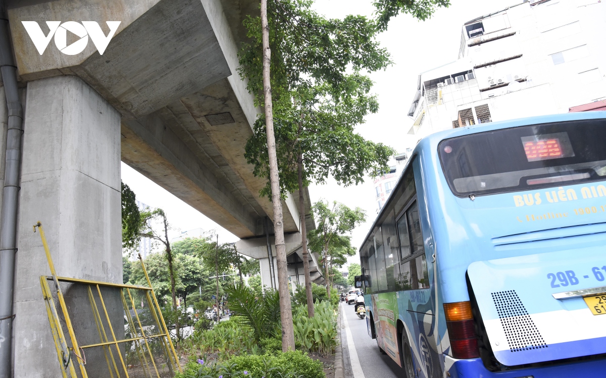 hang loat cay xanh ha noi kho phat trien vi dung tran duong tren cao hinh anh 9