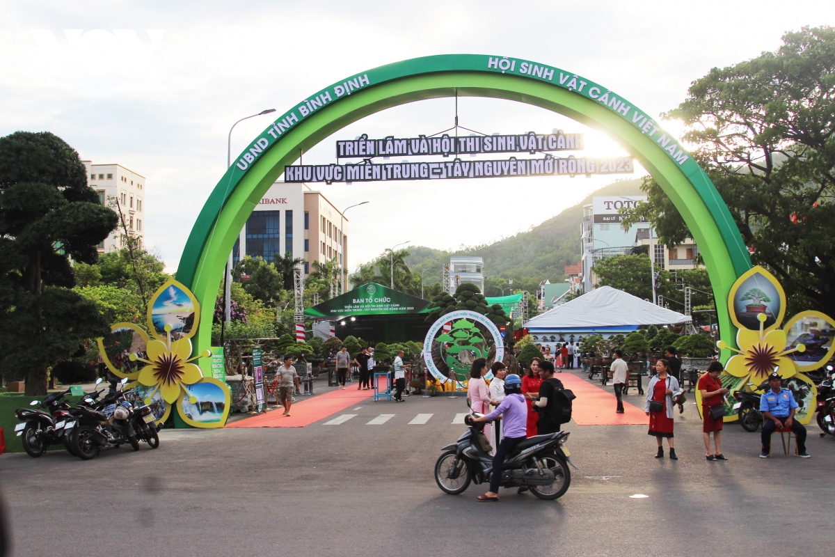 man nhan voi dan cay canh hoi tu tai binh Dinh hinh anh 1