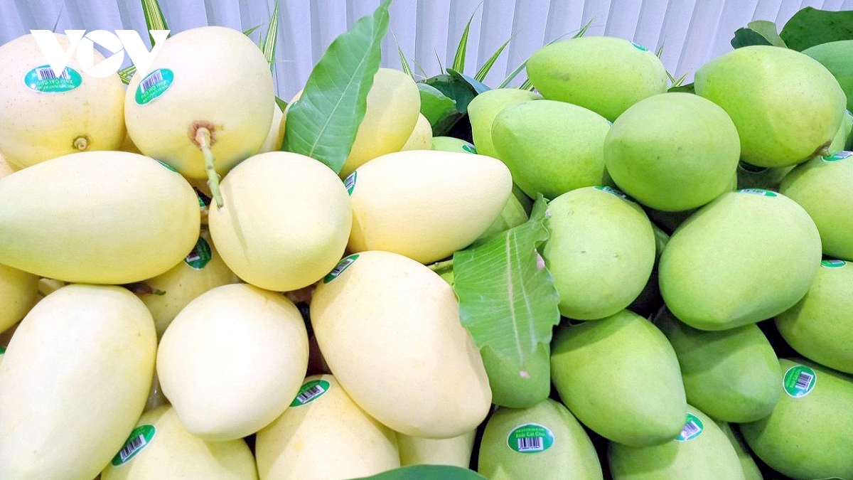 Vương quốc Anh gia nhập CPTPP tăng cơ hội cho xuất khẩu của Việt Nam