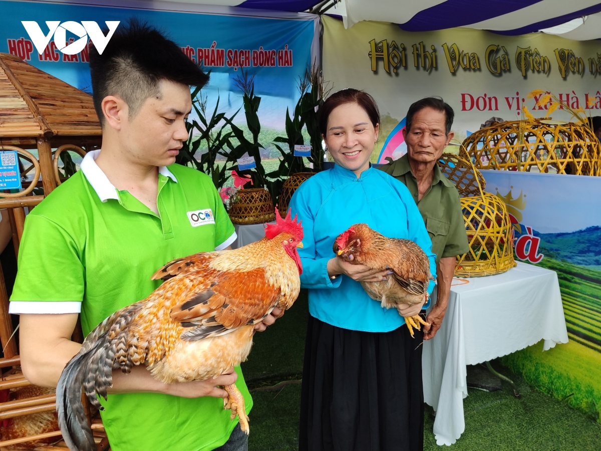 lan dau tien to chuc hoa hau ga tien yen hinh anh 5