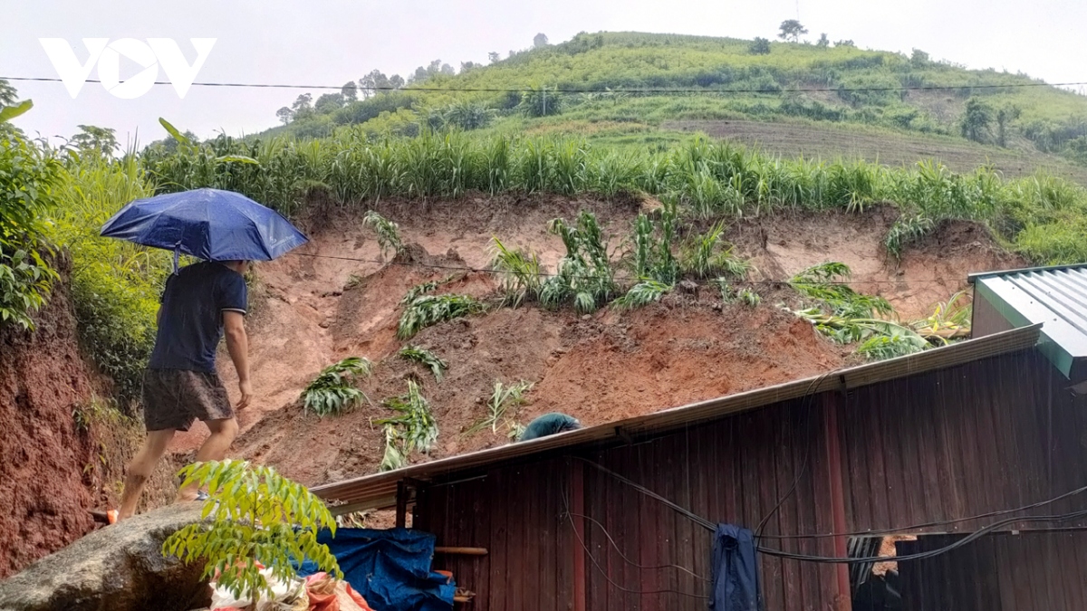 mu cang chai no luc khac phuc hau qua mua lu hinh anh 3