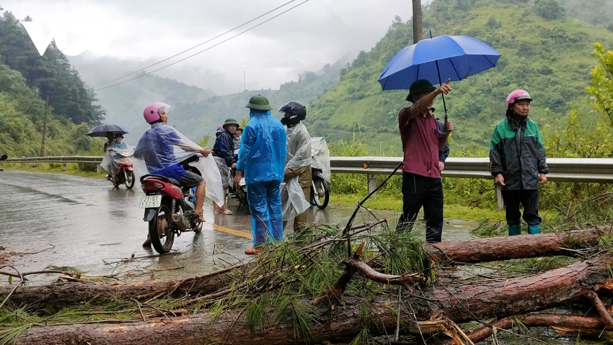 mu cang chai no luc khac phuc hau qua mua lu hinh anh 8