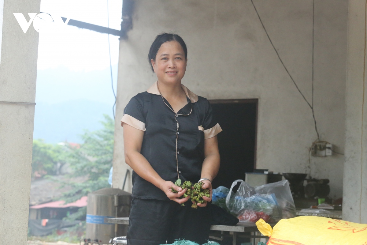 nu nong dan nguoi nung voi khat vong lam giau tren manh dat que huong hinh anh 1