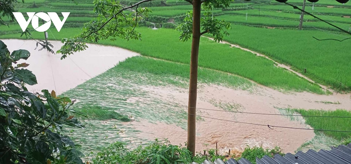 mua lon gay ngap ung o nhieu noi tai son la hinh anh 1