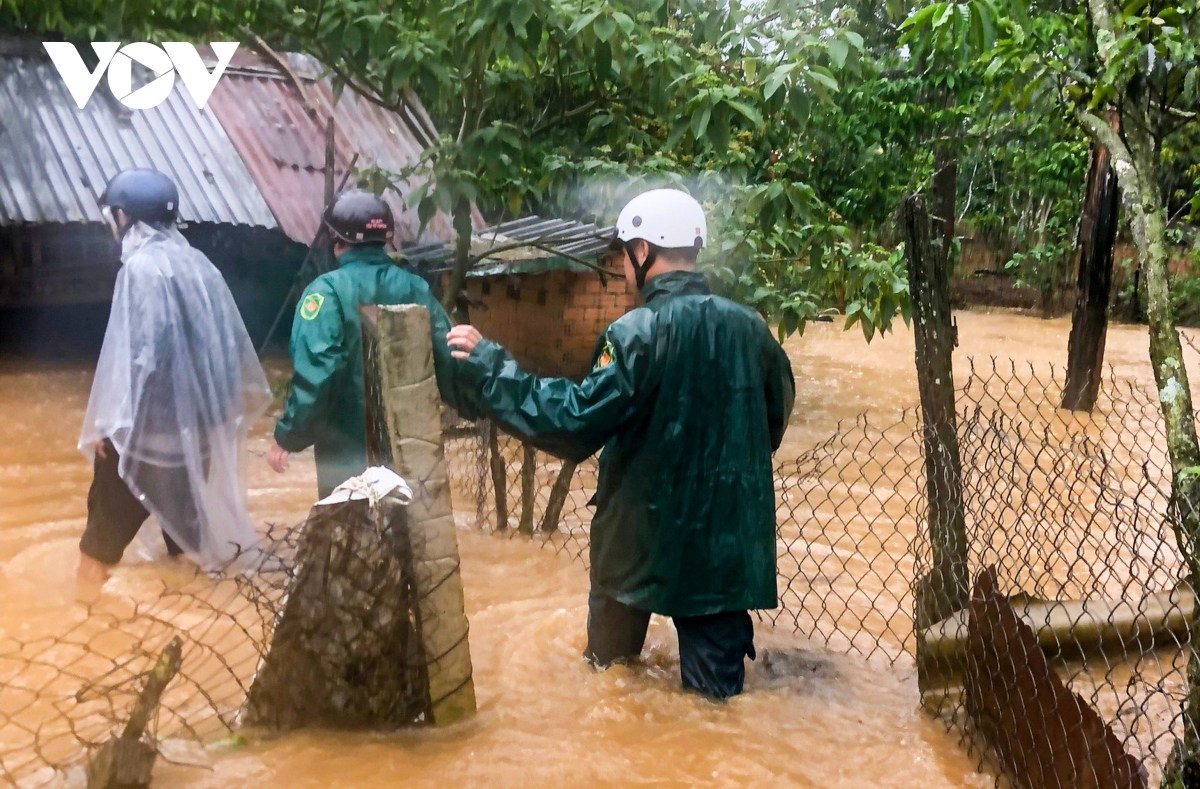 ngap ung, sat lo dat nhieu khu vuc tai lam Dong hinh anh 1