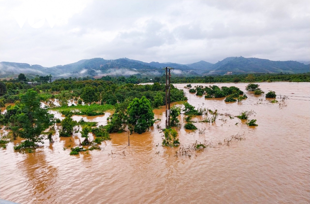 ngap ung, sat lo dat nhieu khu vuc tai lam Dong hinh anh 3