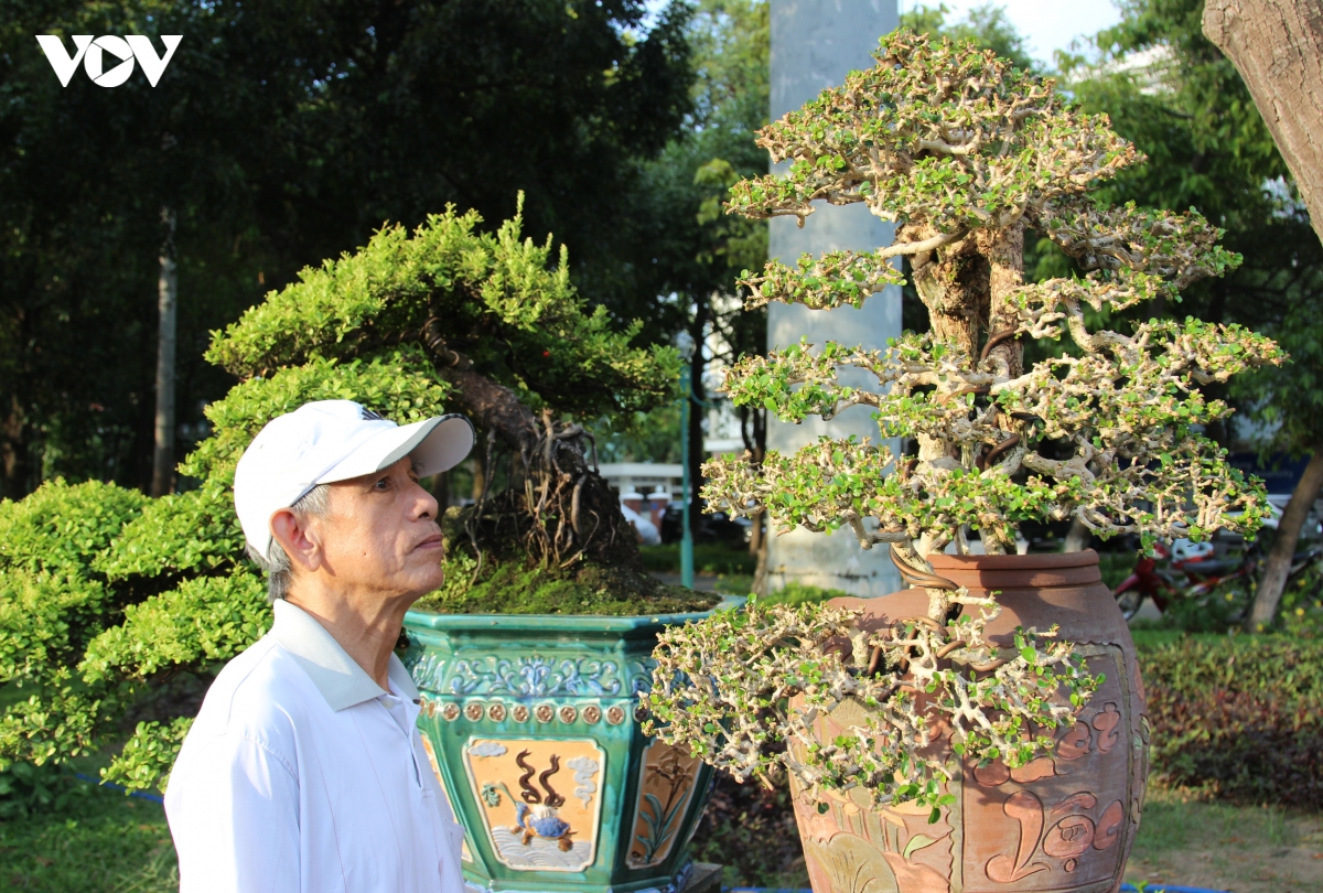 man nhan voi dan cay canh hoi tu tai binh Dinh hinh anh 10