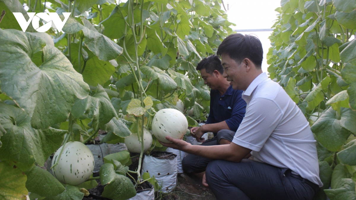 nong dan binh duong dong long lam nong nghiep cong nghe cao hinh anh 3