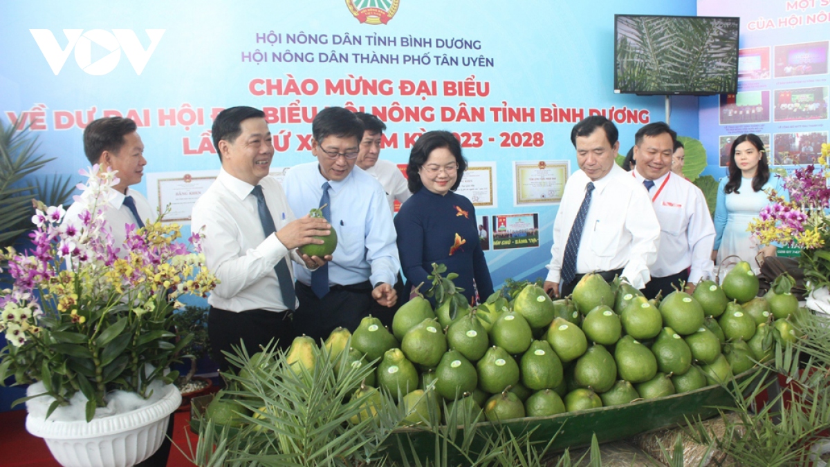 nong dan binh duong dong long lam nong nghiep cong nghe cao hinh anh 4