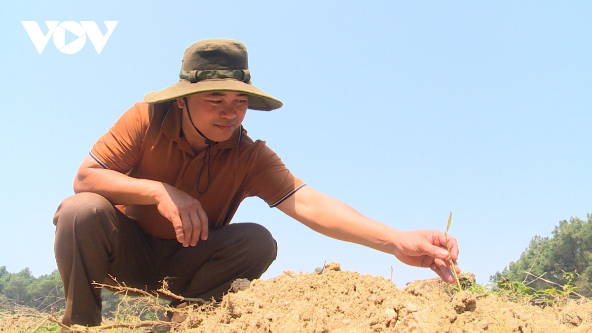 quang tri nan giai viec xu ly dan trau hoang hung han tan cong nguoi hinh anh 1