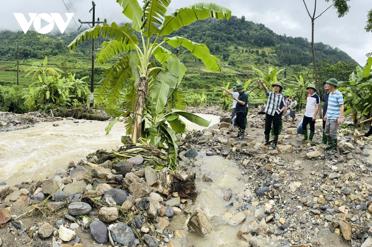 tan hoang vung lu than uyen, lai chau hinh anh 14