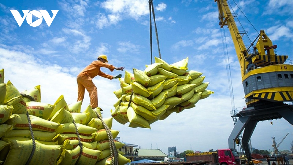 Rice export price likely to exceed US$600 per tonne