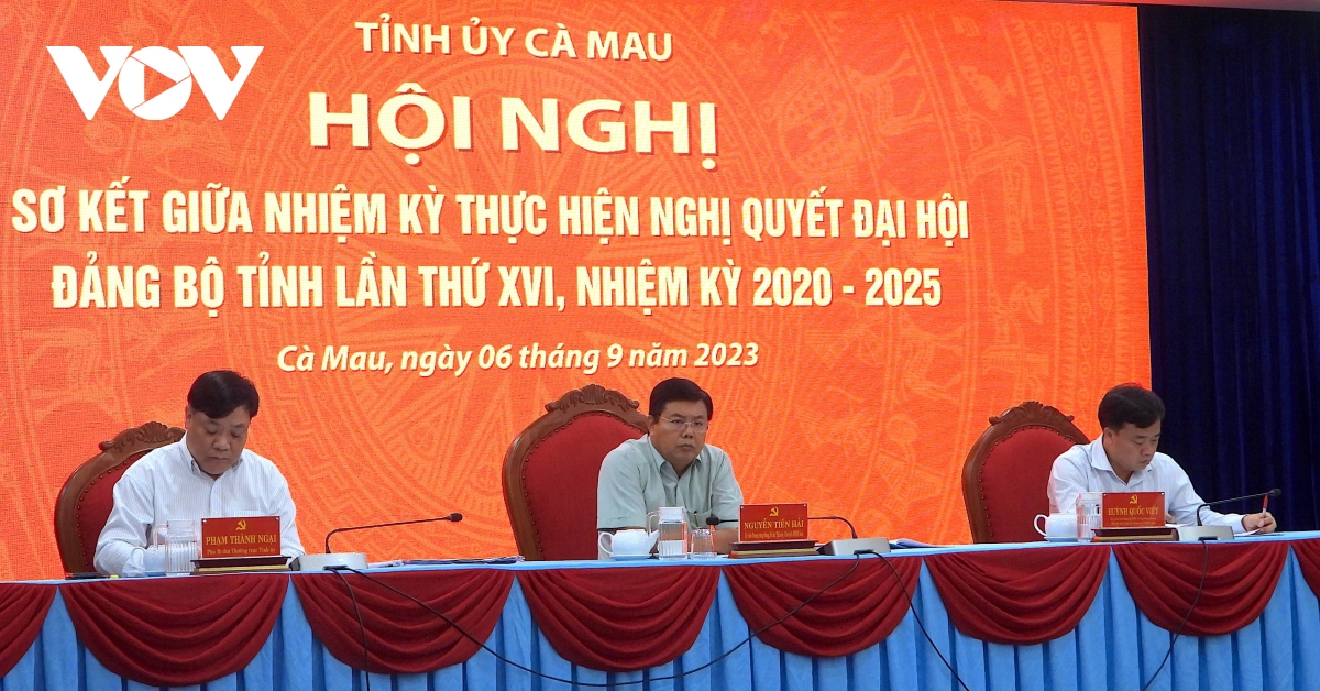 ca mau se hoan thanh som 6 chi tieu nghi quyet Dai hoi Dang hinh anh 1