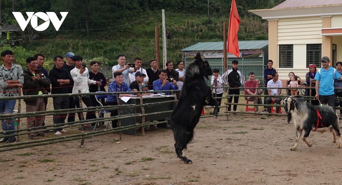 Doc dao hoi choi de mu cang chai hinh anh 13