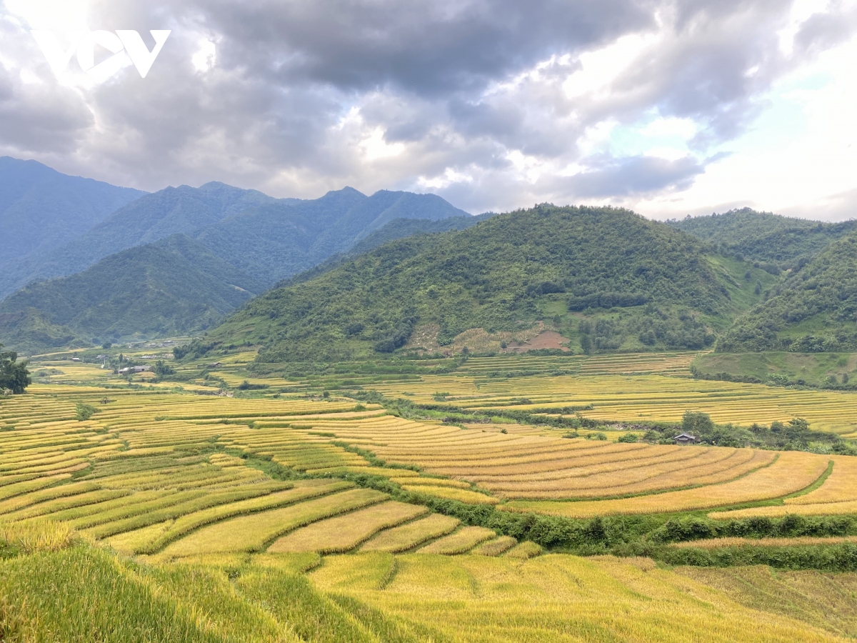 mua vang moi goi du khach toi mien co tich ngoc chien hinh anh 1