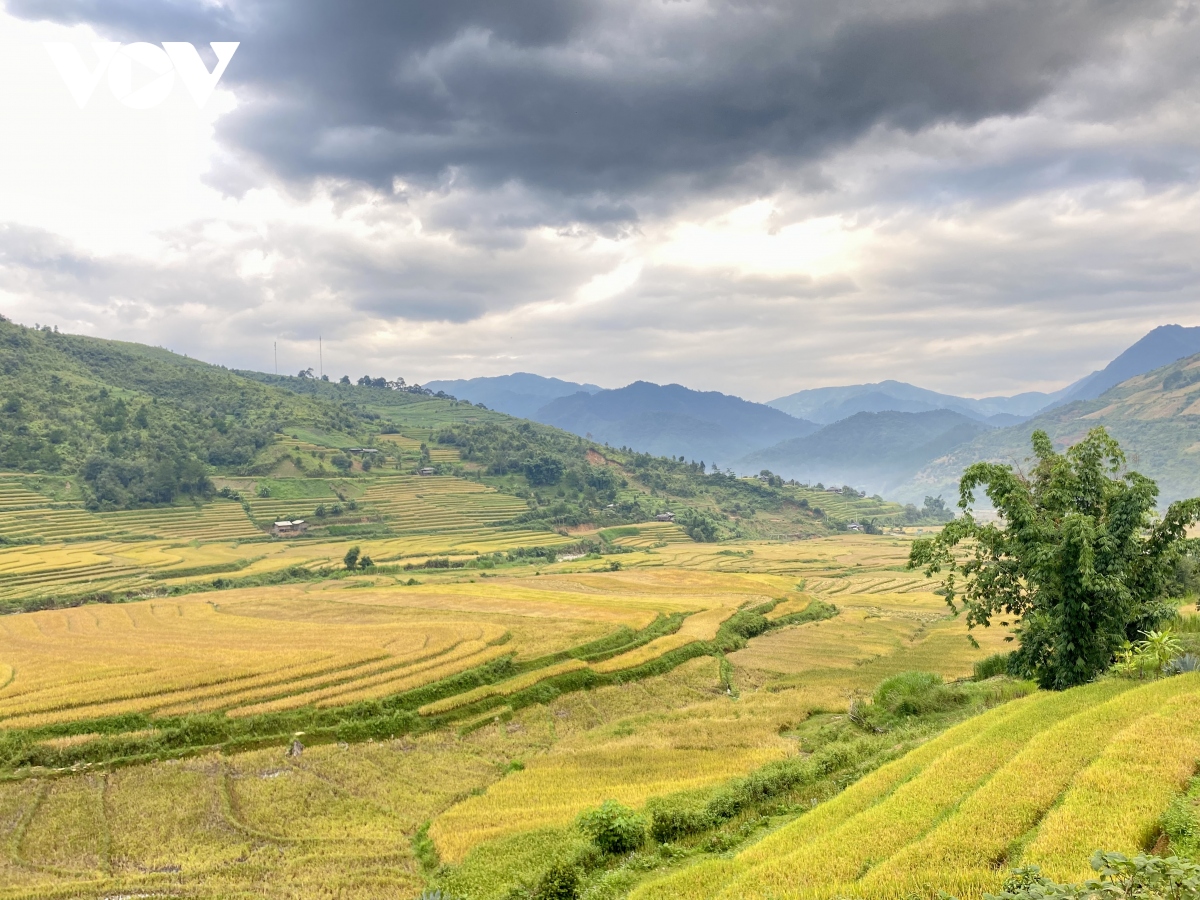 mua vang moi goi du khach toi mien co tich ngoc chien hinh anh 8