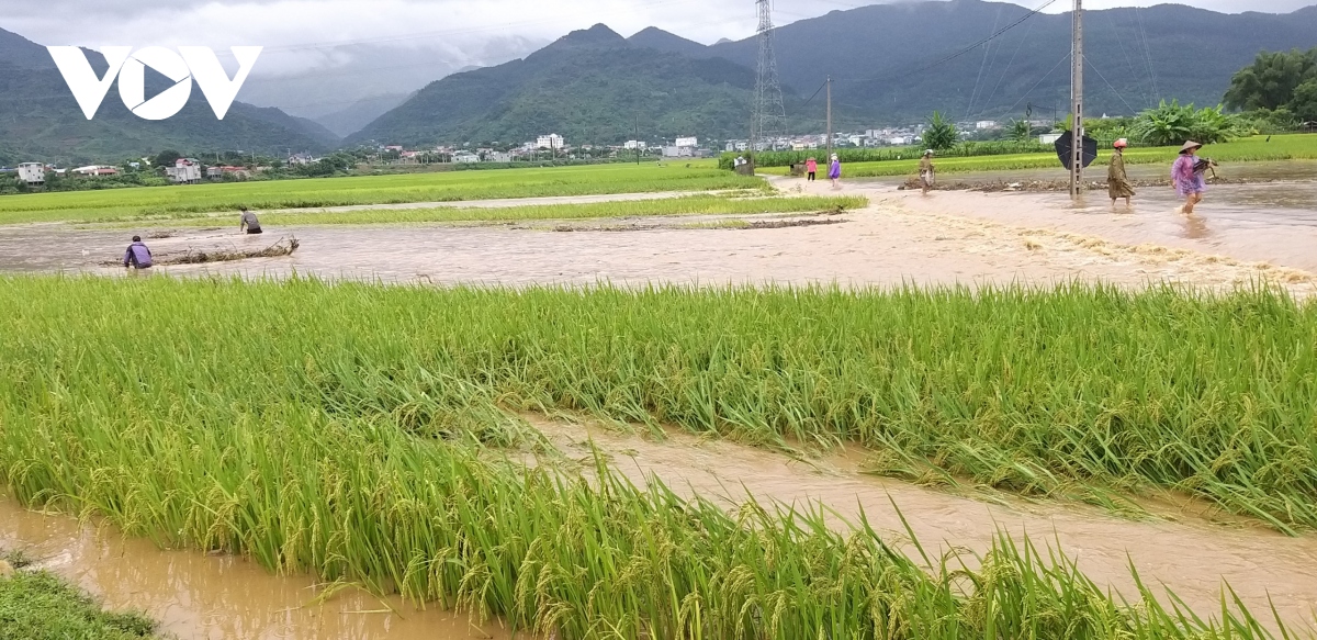 lu lon gay thiet hai nang tai phu yen, son la hinh anh 1