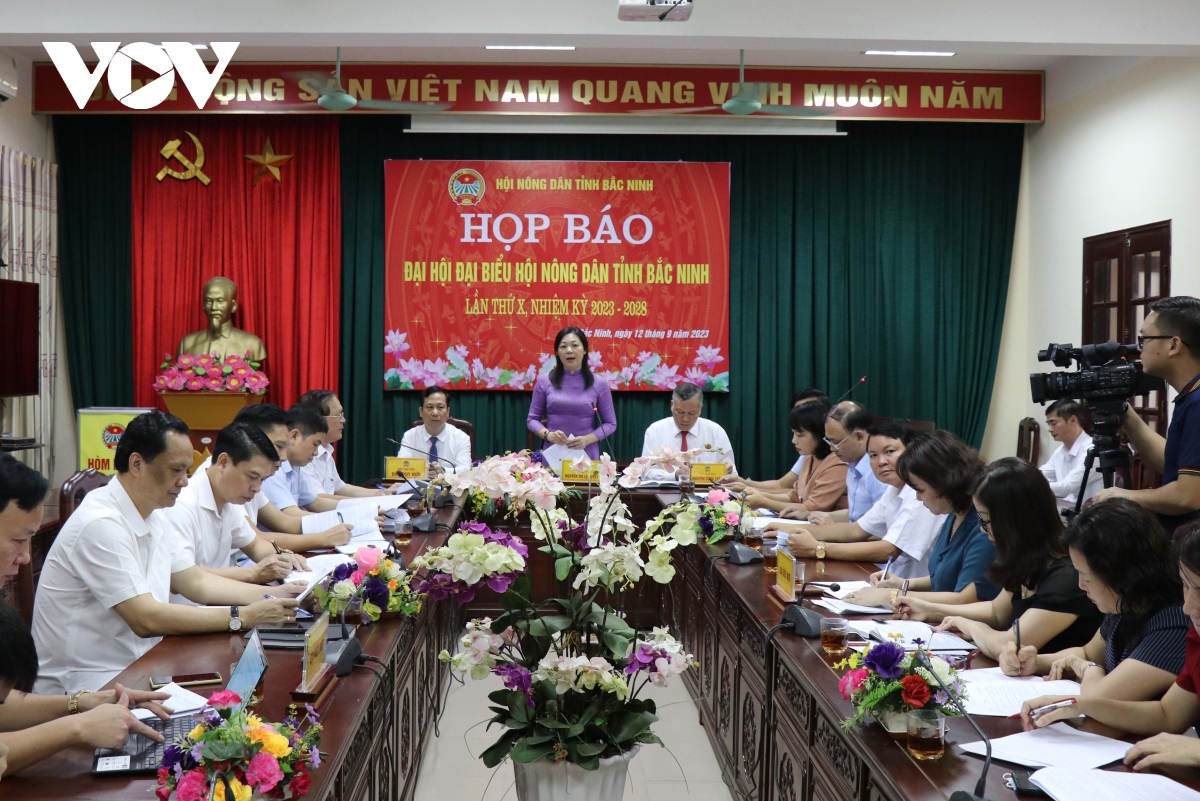 bac ninh co gan 400.000 luot ho gia dinh nong dan san xuat, kinh doanh gioi hinh anh 1