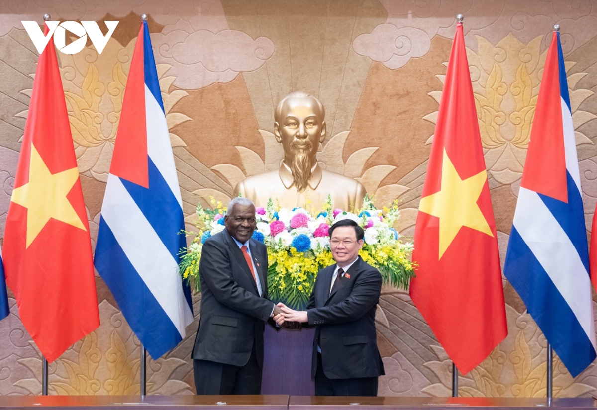 chu tich quoc hoi vuong Dinh hue don, tiep chu tich quoc hoi cuba hinh anh 2