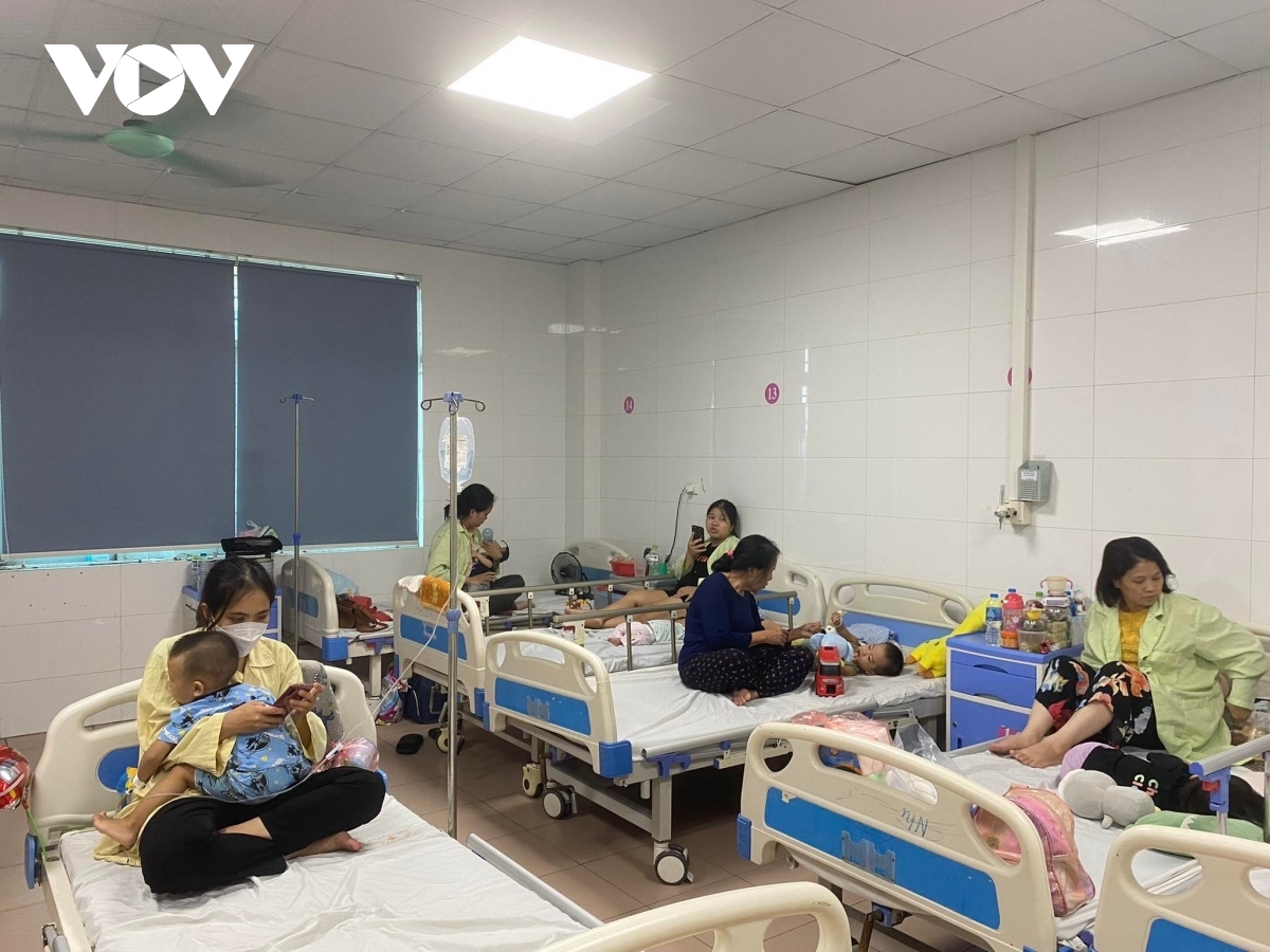 Dengue fever cases see sharp rise in Hanoi