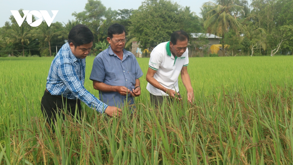 tam guong nguoi cao tuoi dan toc thieu so lam kinh te gioi, thu nhap ty dong hinh anh 1