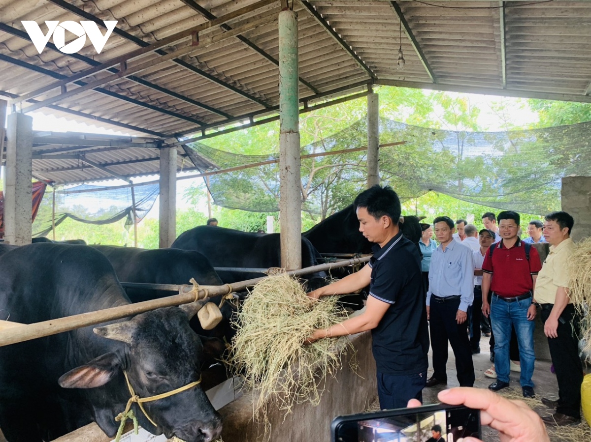 Tạo sinh kế và giảm thiểu rủi ro thiên tai tại cộng đồng