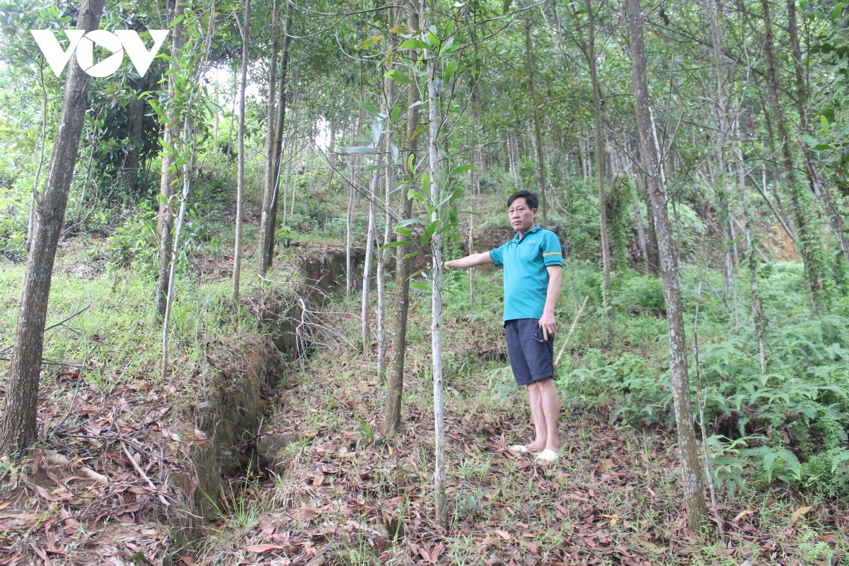 suon nui bi nut, nguoi dan quang binh lo so sat lo mua mua bao hinh anh 2