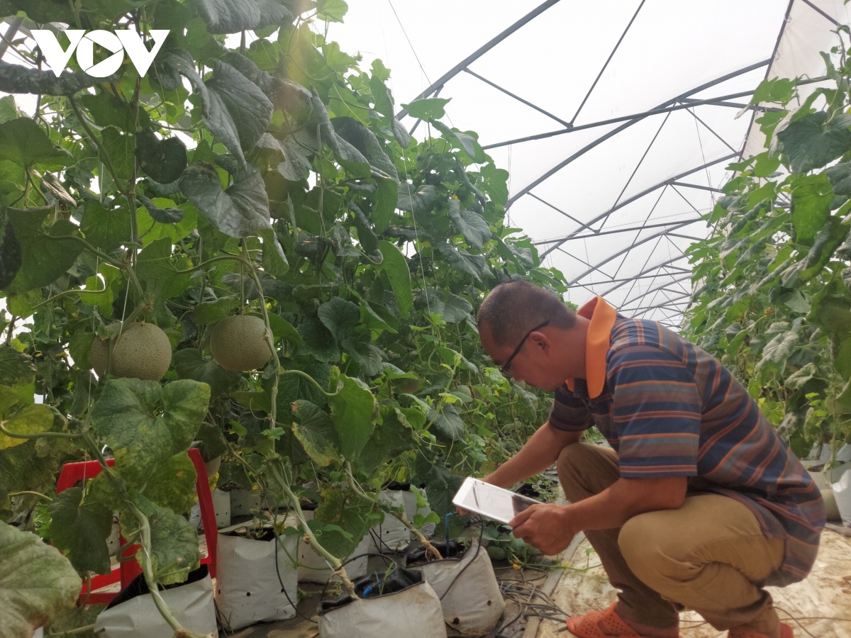 nong dan day manh dua san pham len san giao dich dien tu hinh anh 2